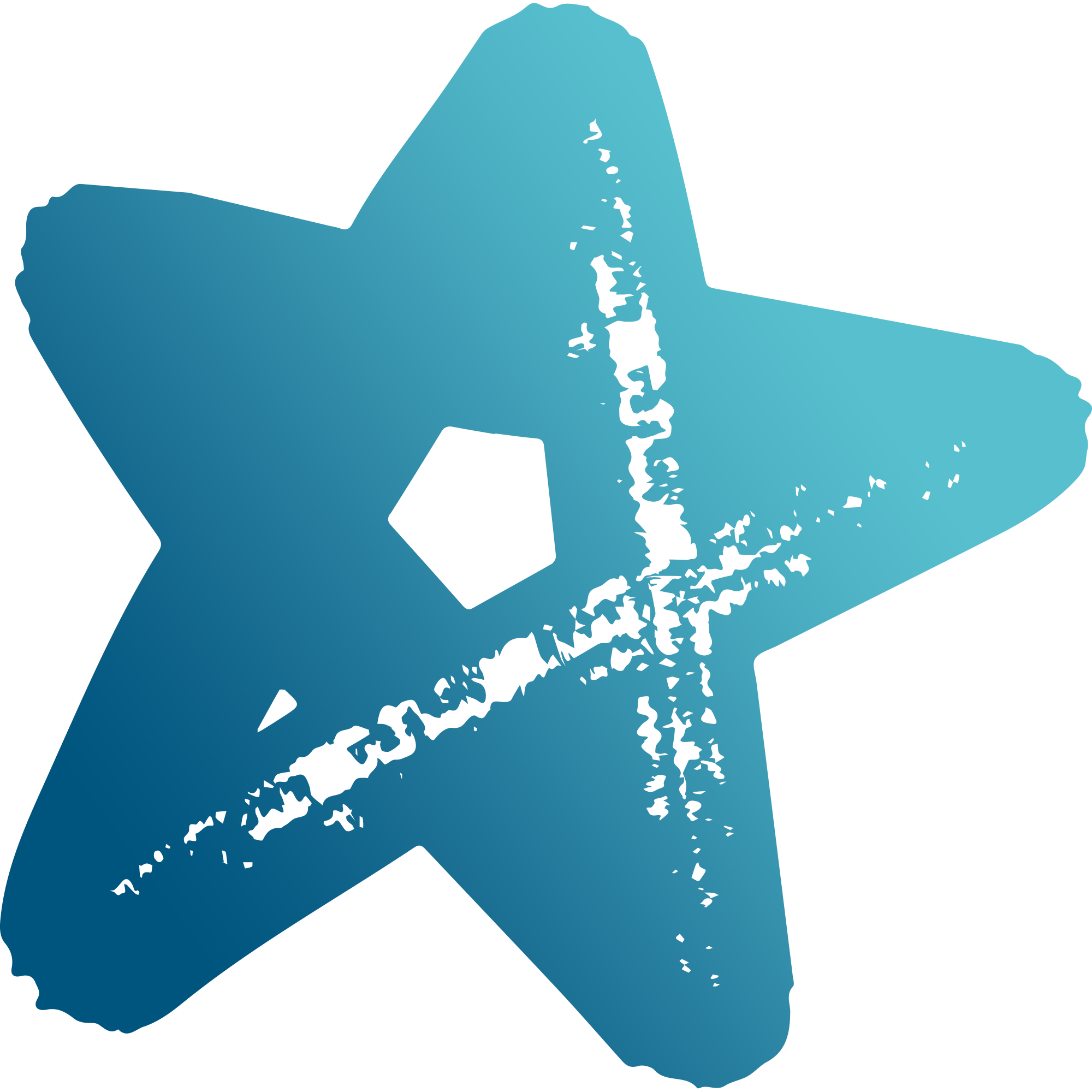 Apprenticeship Star